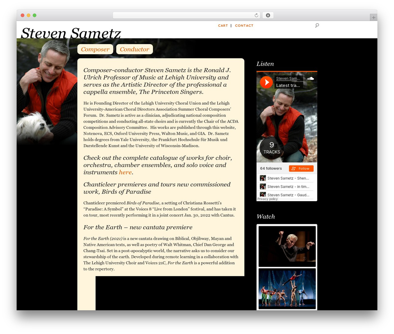 StevenSametz Custom Theme theme WordPress - stevensametz.com