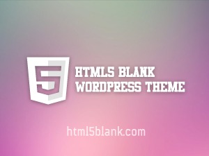 Theme WordPress HTML5 Blank Plus by David Taylor Digital