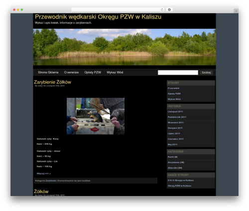 WordPress theme Divine Sunset - przewodnikwedkarski.com
