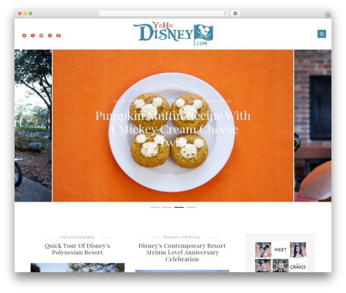 Brook WordPress theme - yohodisney.com