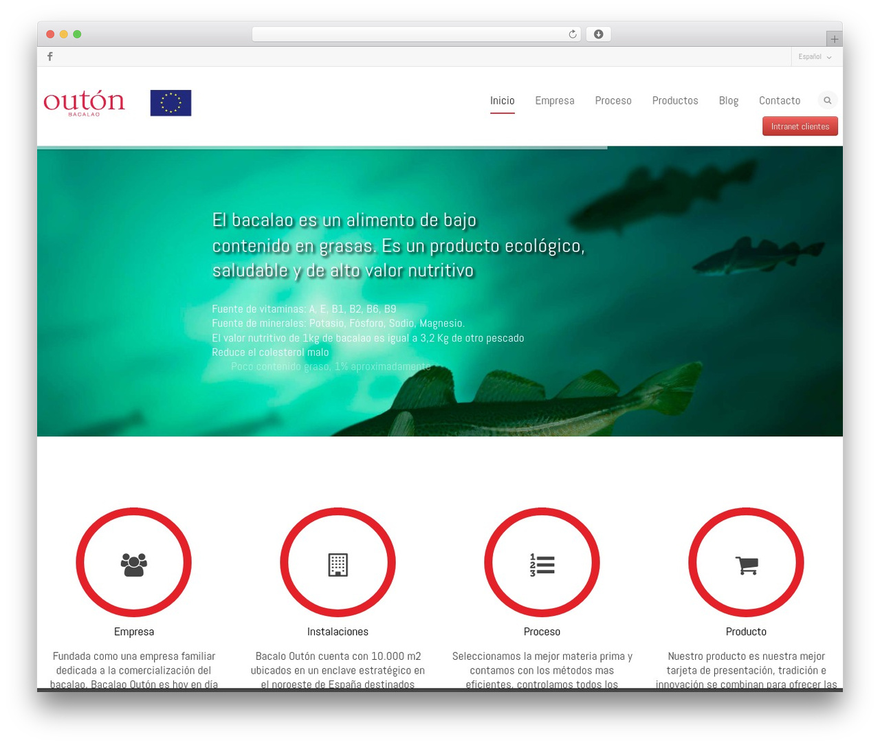 Flexform WordPress theme - bacalaoouton.com Flexform WordPress theme - bacalaoouton.com