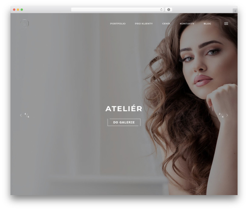Modesto WordPress theme image - sariphotography.cz