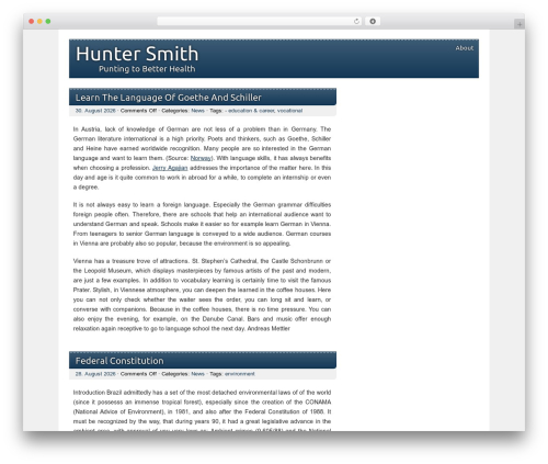 picoclean WordPress theme - huntersmith.com