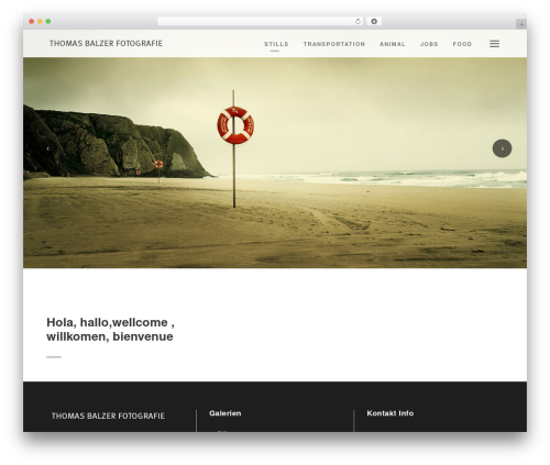 Intense WordPress plugin - thomas-balzer.com