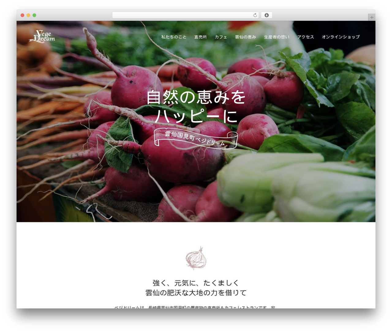 vegedream theme WordPress - vegedream.net