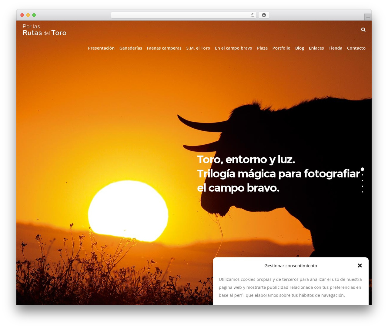 DFD Native WordPress theme - porlasrutasdeltoro.com