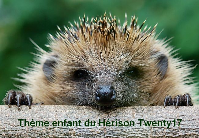 Theme WordPress H&eacute;risson by Daniel
