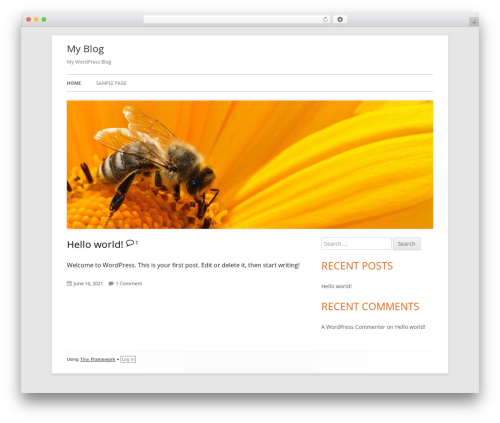 WordPress theme Tiny Framework - dnsguy.com