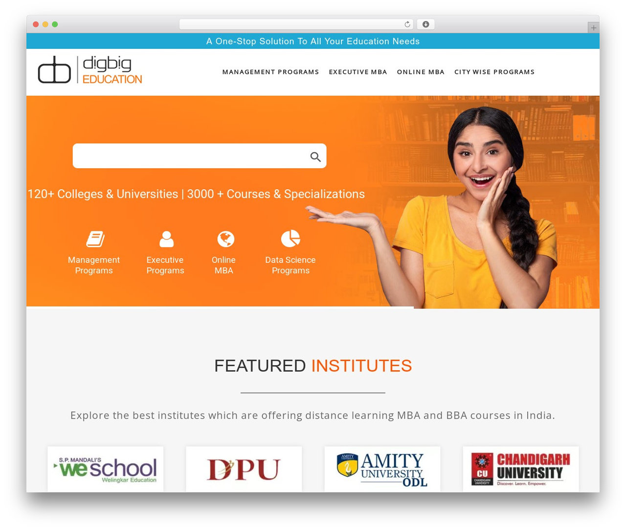 Austin WordPress theme - digbigeducation.com