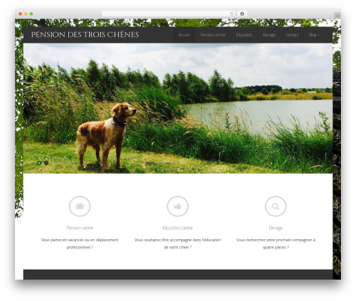 Best WordPress theme Asteria Lite - pensiondestroischenes.fr
