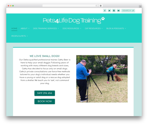 Autocomplete For Relevanssi (autocomplete-for-relevanssi) free WordPress plugin - pets4life.com.au Autocomplete For Relevanssi (autocomplete-for-relevanssi) free WordPress plugin - pets4life.com.au