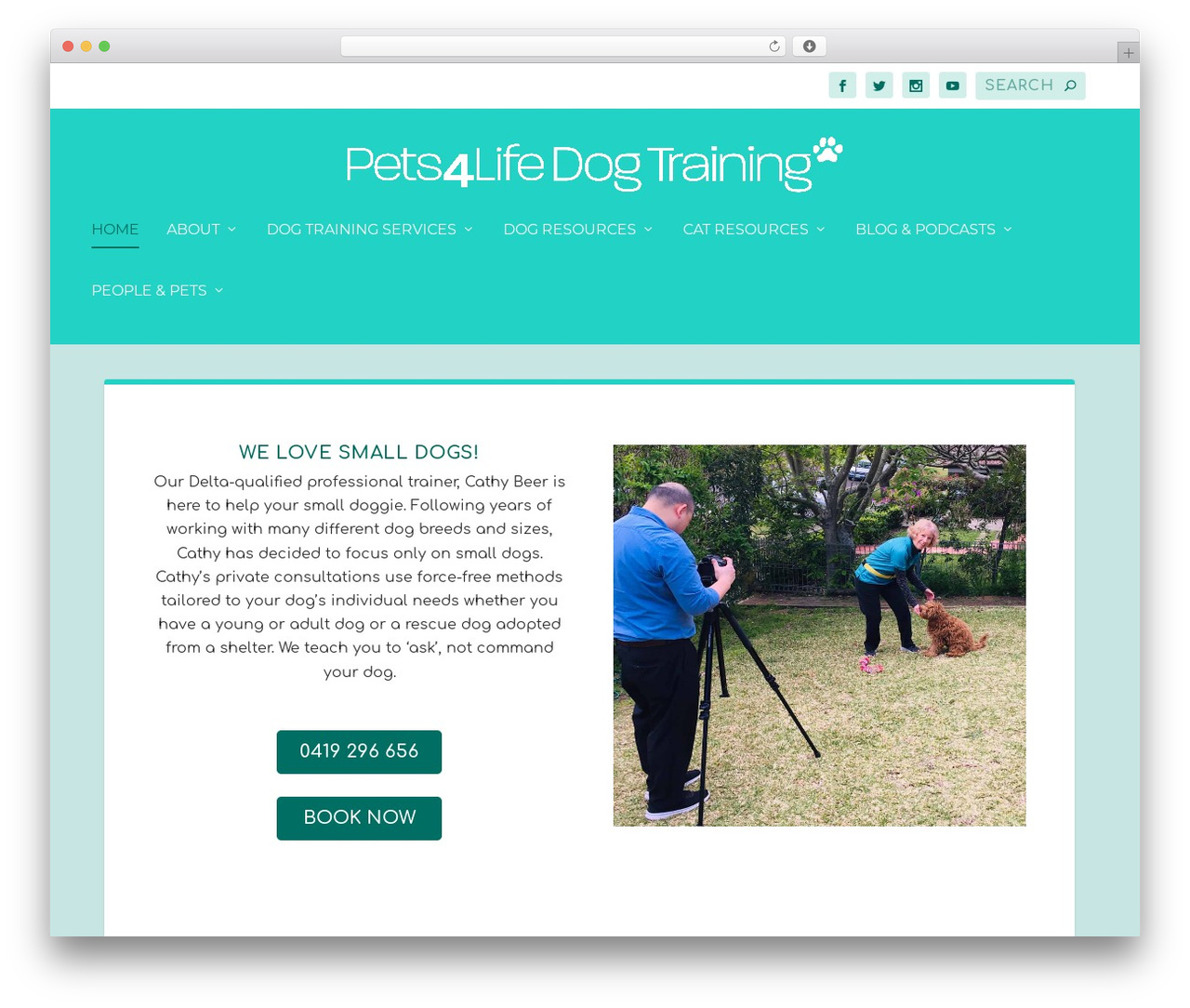 Extra WordPress theme design - pets4life.com.au Extra WordPress theme design - pets4life.com.au