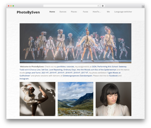Optimizer free WP theme - photobysven.com