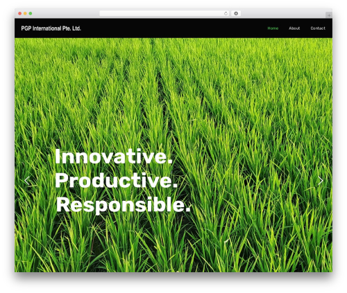 Seppo WP WordPress website theme - p-g-pinternational.com