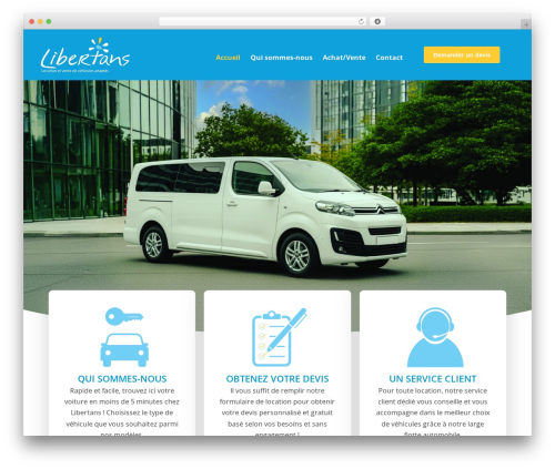 Rselements WordPress plugin - libertans.com