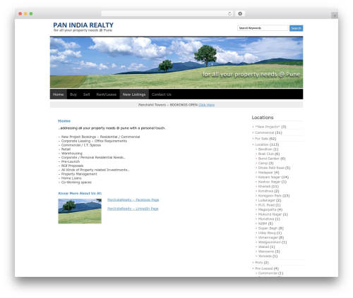 WordPress theme ADSimple - panindiarealty.com