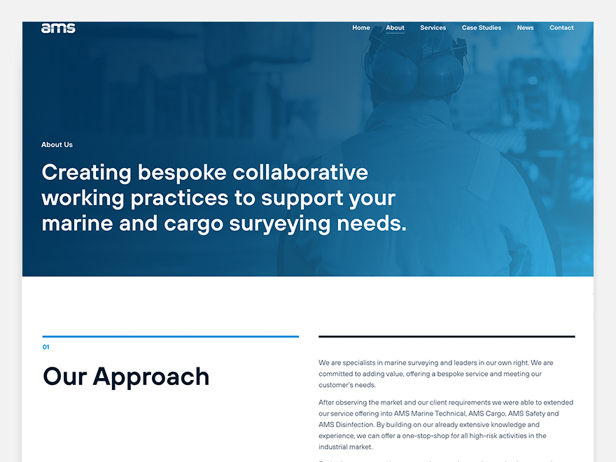 WordPress theme AMS Theme