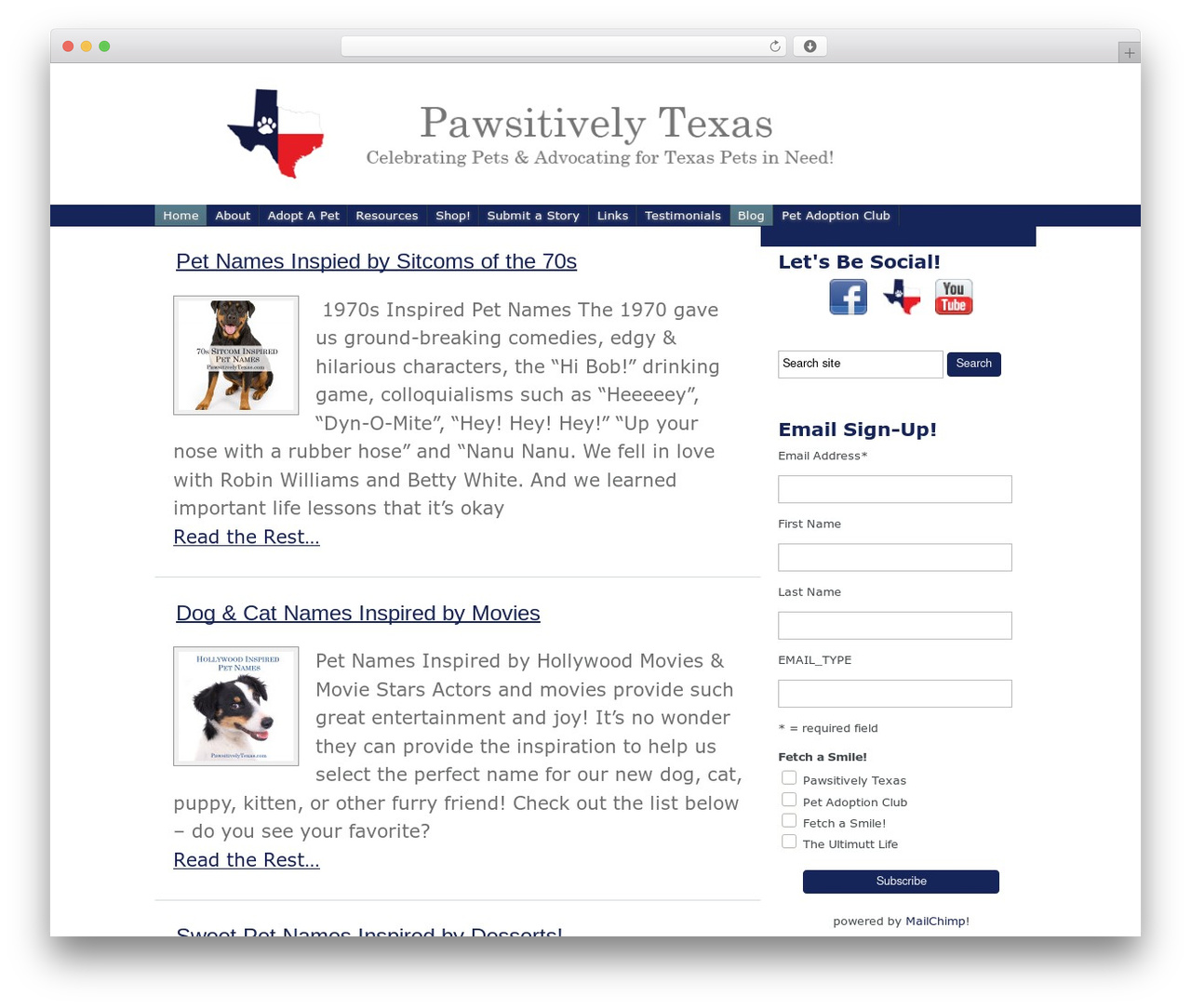 Builder WordPress theme design - pawsitivelytexas.com Builder WordPress theme design - pawsitivelytexas.com