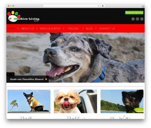 cherry best WordPress theme - pawsitivelivingvi.com
