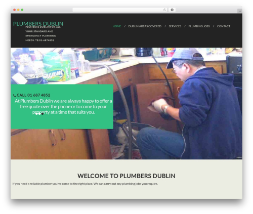 cherry WordPress theme - plumbers-dublin.co
