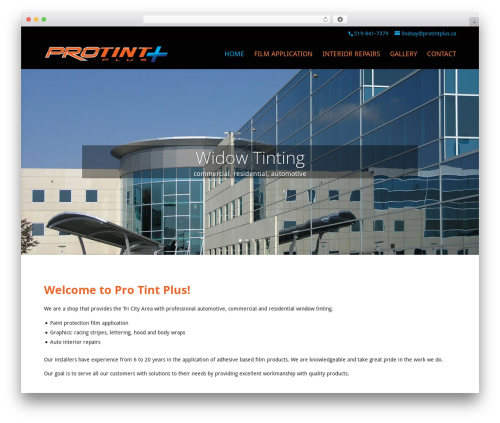 Divi WordPress theme design - protintplus.ca