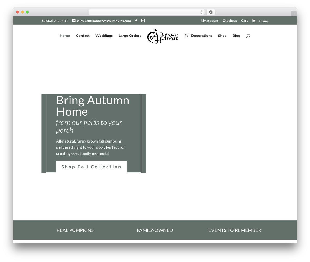 Divi Child Theme WordPress theme - autumnharvestpumpkins.com Divi Child Theme WordPress theme - autumnharvestpumpkins.com