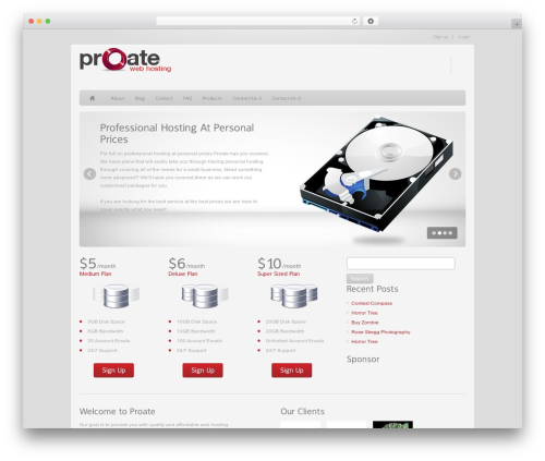 Epsilon top WordPress theme - proate.com