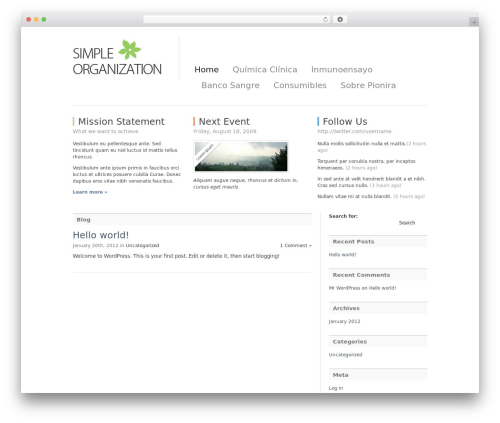 Simple Organization theme WordPress - pionira.com