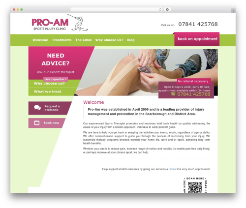 Theme WordPress Bootstrap Basic - proamsportsinjury.co.uk