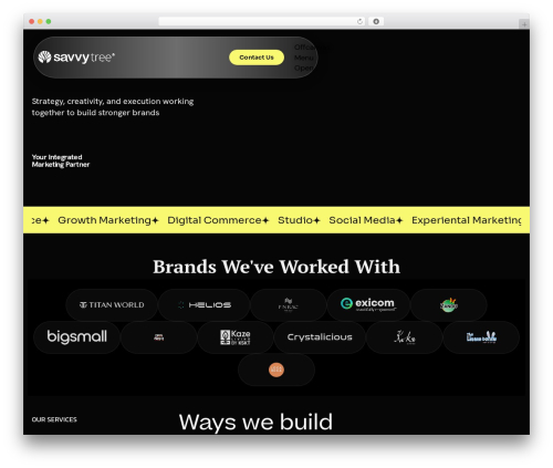 Animation addons for elementor pro WordPress plugin - demo.savvytree.in