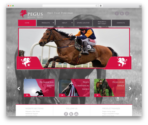 Theme WordPress Pegus - pegus.ie