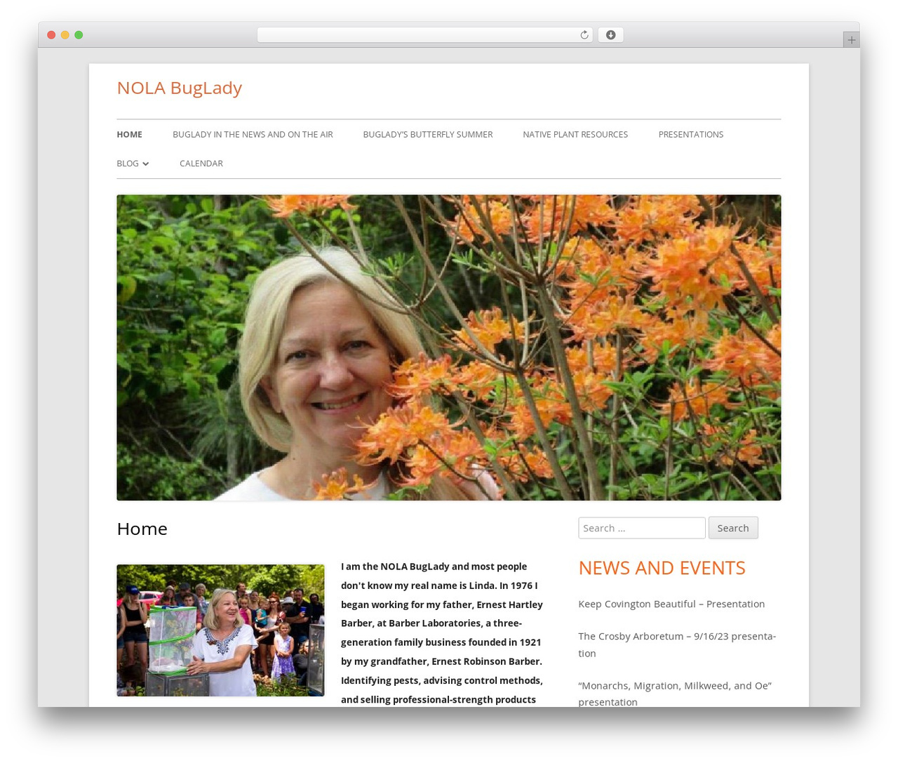 WordPress theme Tiny Framework - nolabuglady.com