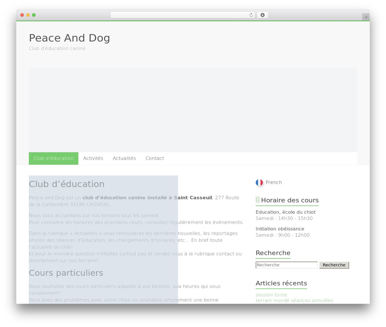 WordPress theme Accelerate - peaceanddog.com