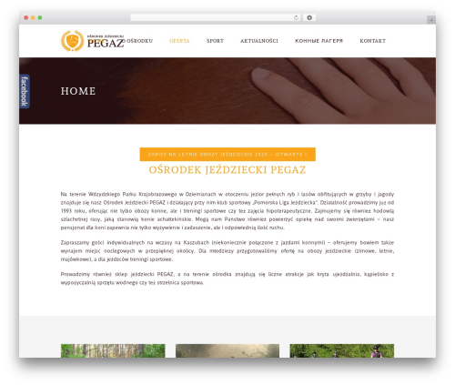 SN Facebook Like (sn-facebook-like) free WordPress plugin - pegazdziemiany.pl