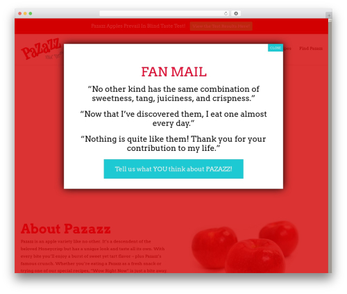WordPress theme Wunderkind - pazazzapple.com