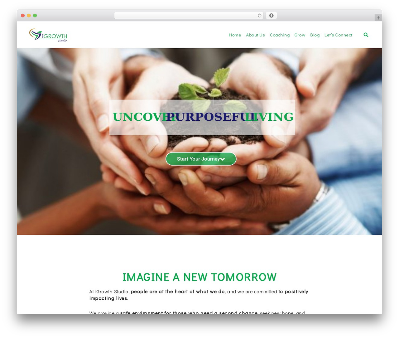 WordPress theme Zenith - igrowthstudio.com