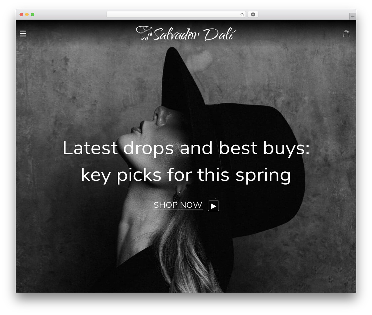 WP theme Dali - dali.alidropship.com
