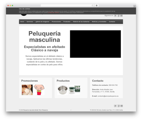 AAA WordPress website theme - piconpeluqueros.es