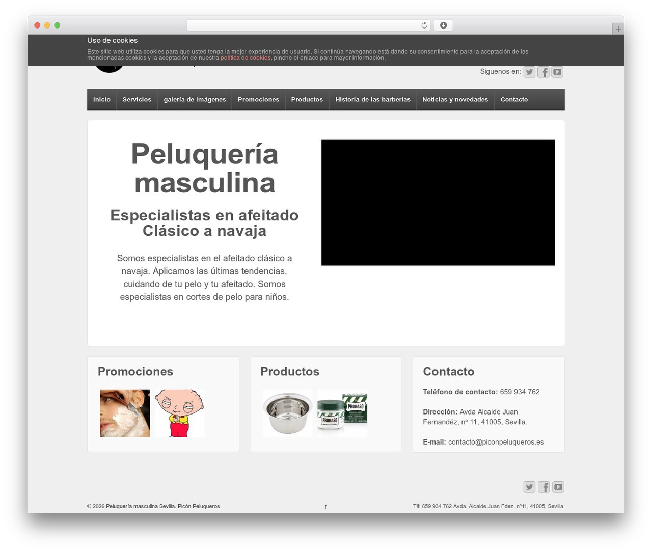 AAA WordPress website theme - piconpeluqueros.es