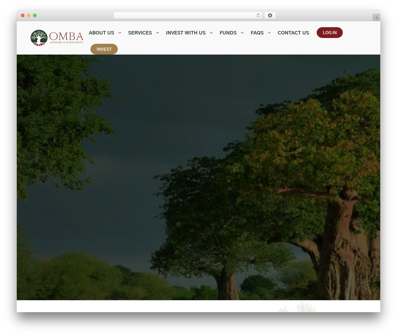 Omba theme WordPress theme design - ombainvestments.com