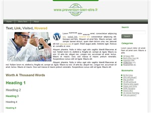 PBE WordPress theme by WP - Web & Print Boutique