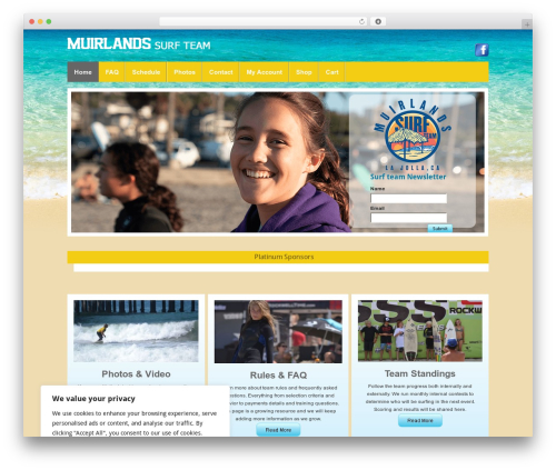 WordPress theme Builder - msurf.org