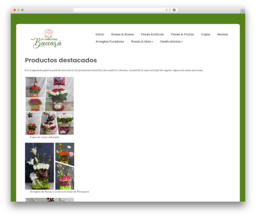 ColorWay free WP theme - floristeriabaccara.com