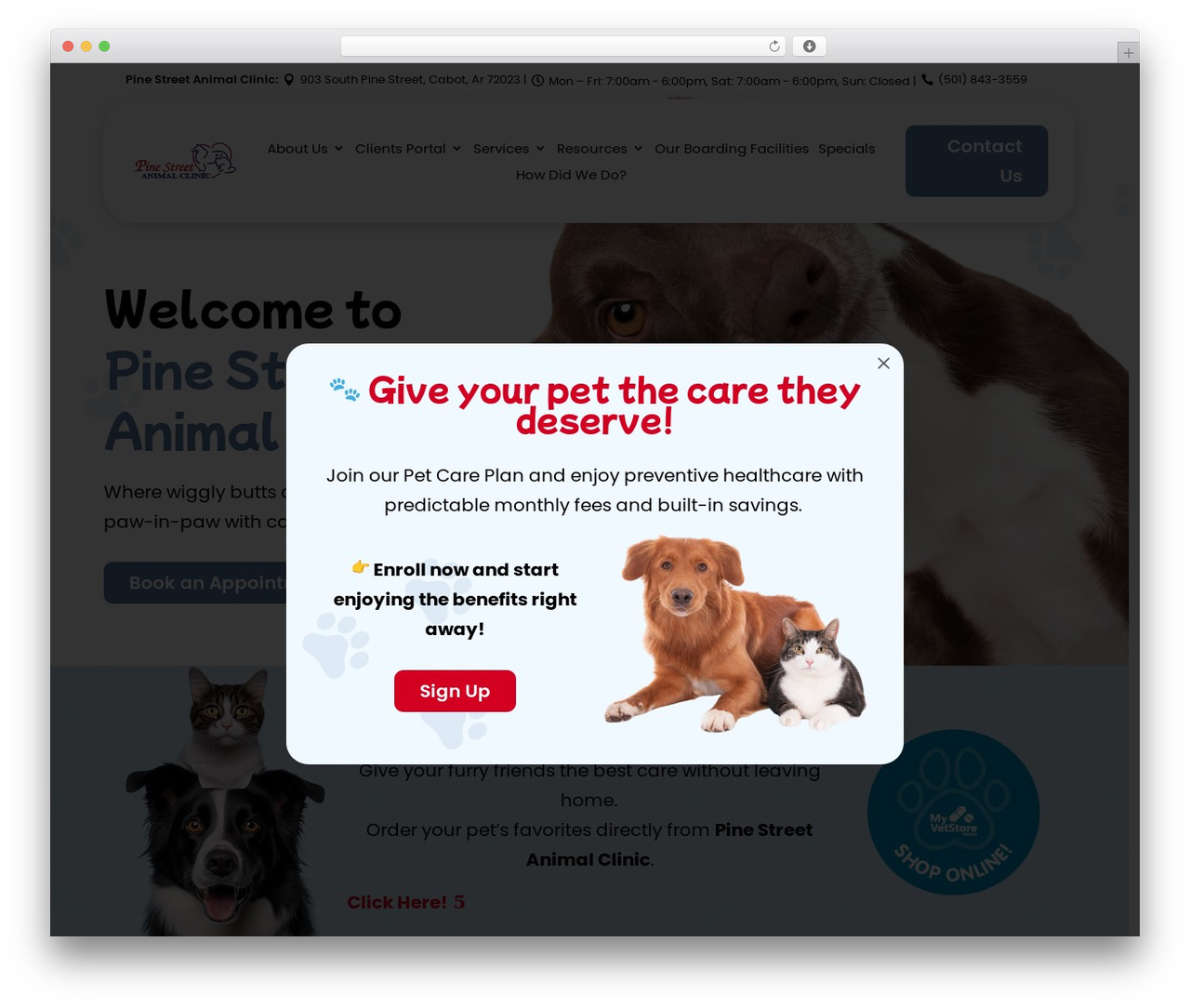 Divi WordPress theme - pinestreetanimalclinic.com Divi WordPress theme - pinestreetanimalclinic.com