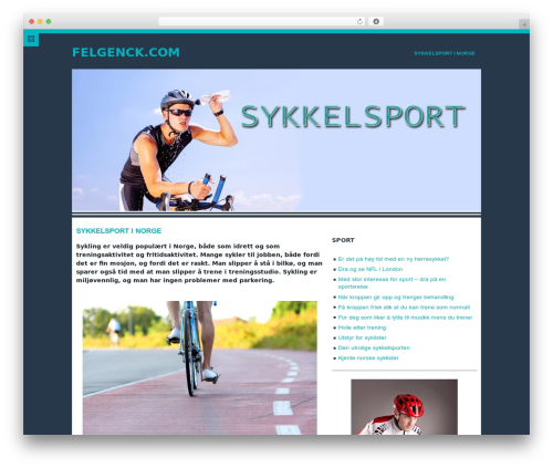 Empo best WordPress theme - felgenck.com
