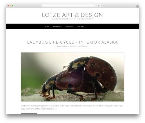 Imagely Limitless wallpapers WordPress theme - lotzeart.com