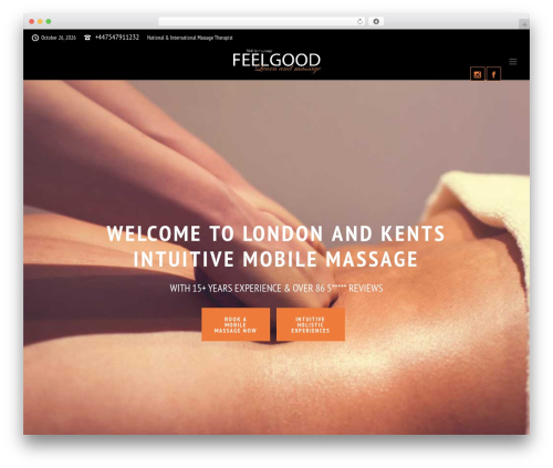 Setmore Plus (setmore-plus) free WordPress plugin - feelgoodlearnandmassage.co.uk