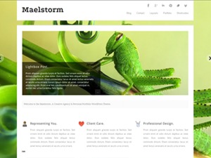 MaelStorm best WordPress theme by Wpx