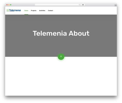 Elementor theme core WordPress plugin - telemenia.com
