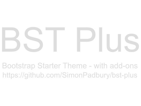 Theme WordPress BST Plus Theme WordPress BST Plus